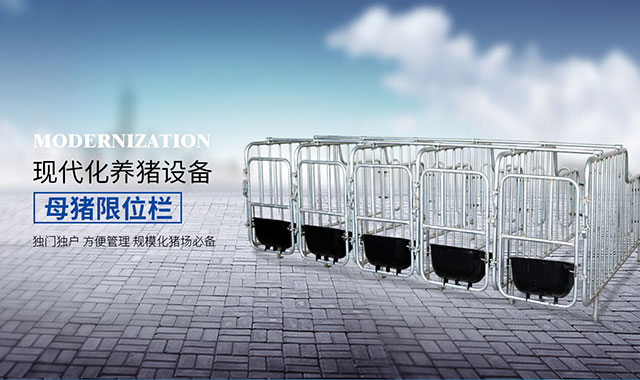 使用母豬定位欄的好處